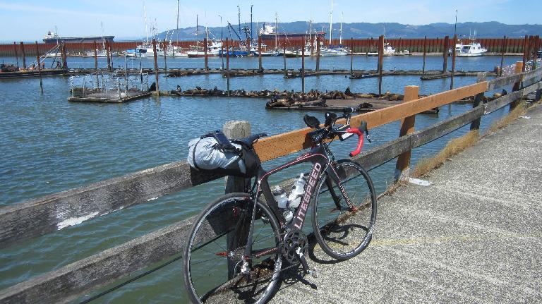 My black 2010 Litespeed Archon C2 on a pier in Astoria, Oregon, overlooking seals and ships. (June 5, 2015) black 2010 Litespeed Archon C2, pier, Astoria, Oregon, seals, ships