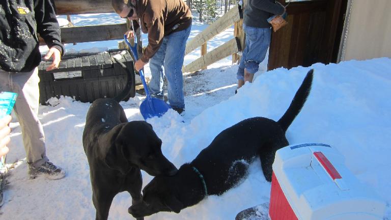 First order of business: clear the snow off the deck. First order of business: clear the snow off the deck.