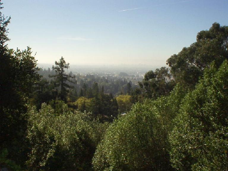 This may merely look like trees and smog, but I was actually trying to shoot a pic of the great view of Berkeley and the bay! This may merely look like trees and smog, but I was actually trying to shoot a pic of the great view of Berkeley and the bay!