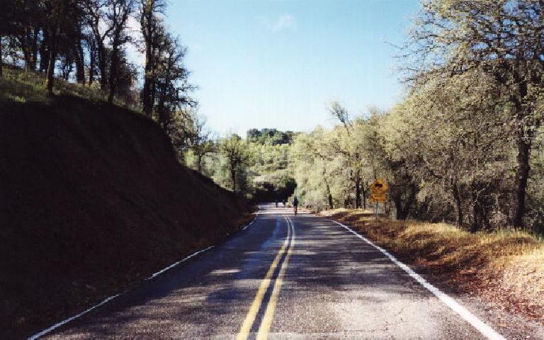The base of the climb up the backside of Mount Hamilton. Let the real climbing begin! The base of the climb up the backside of Mount Hamilton. Let the real climbing begin!