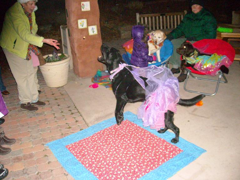 Another one of the Sugar Plum Fairies catches a Scooby snack. Another one of the Sugar Plum Fairies catches a Scooby snack.