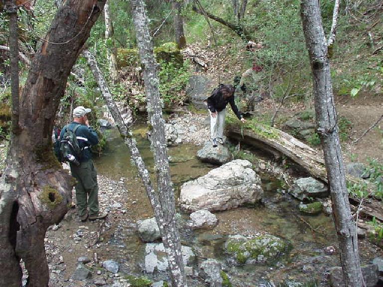 Marianne crossing a creek. Marianne crossing a creek.