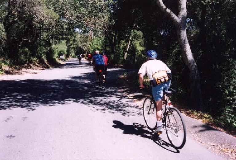 Old La Honda Rd. is 3 miles long and averages a 6-7% grade. Here's Loren out of the saddle for a quick burst of speed going up. He did admirably. Old La Honda Rd. is 3 miles long and averages a 6-7% grade. Here's Loren out of the saddle for a quick burst of speed going up. He did admirably.