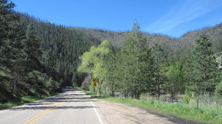 Climbing up the scenic Poudre Canyon, which was very green in May 2015. Poudre Canyon, green trees