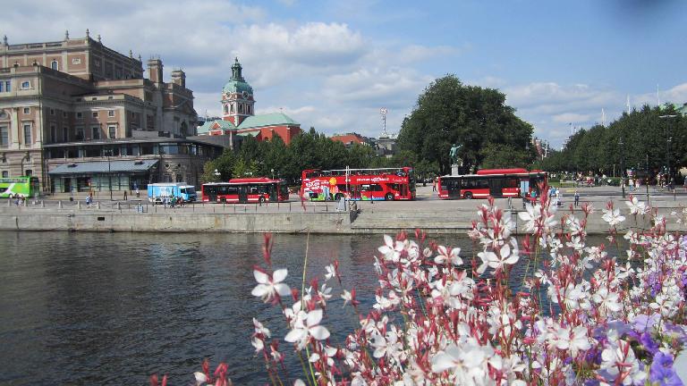 Flowers and tour buses, as seen from the Royal Palace. (July 25, 2013) Flowers and tour buses, as seen from the Royal Palace. (July 25, 2013)