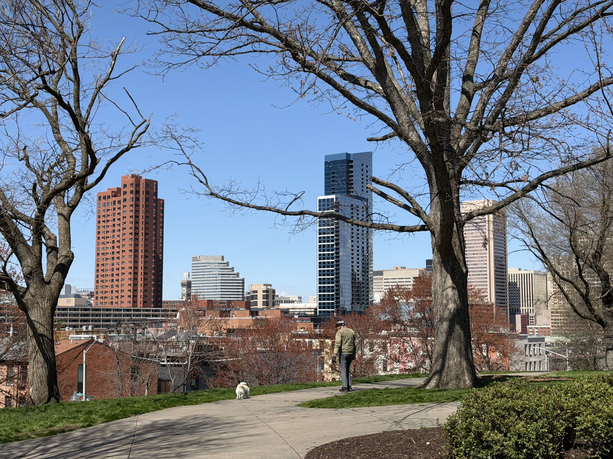 A man walking a dog at Federal Hill Park in Baltimore, with a brick skyscraper and modern steel-and-glass one in the background.