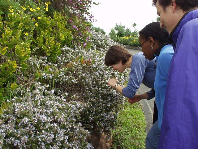 Sarah checking out the flowers with Kristina and Carlos looking on...