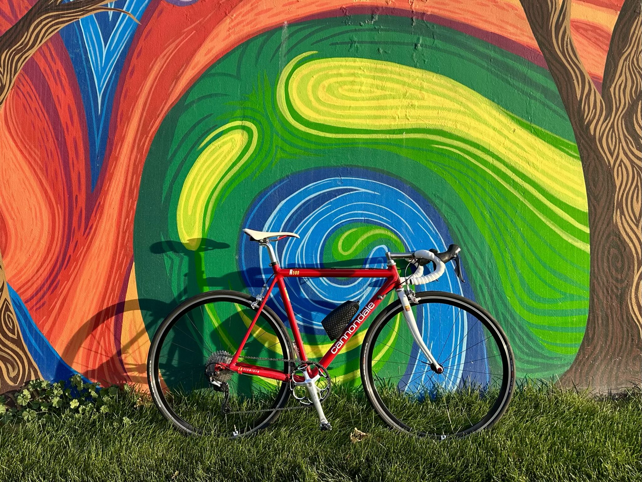My Cannondale R500 in front of a mural painted by Kristen Vohs in the Maple Hill neighborhood of Fort Collins.