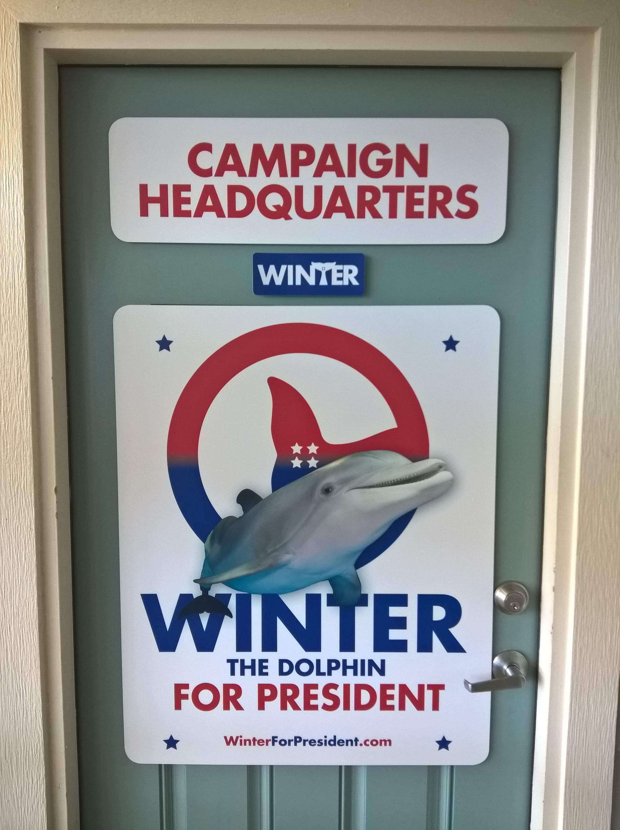 Winter for president.