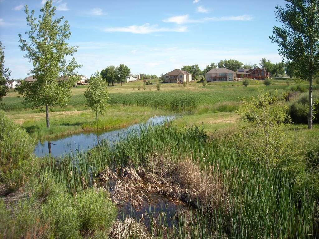 The ponds in the Hearthfire subdivision.