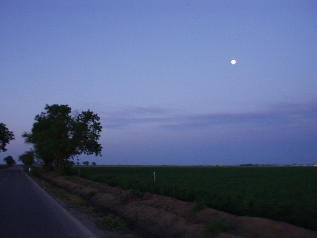 Mile 4, 6:18 a.m.: All alone, having started after everyone else by a few minutes, I head towards a brightening horizon punctuated by a mystical moon.