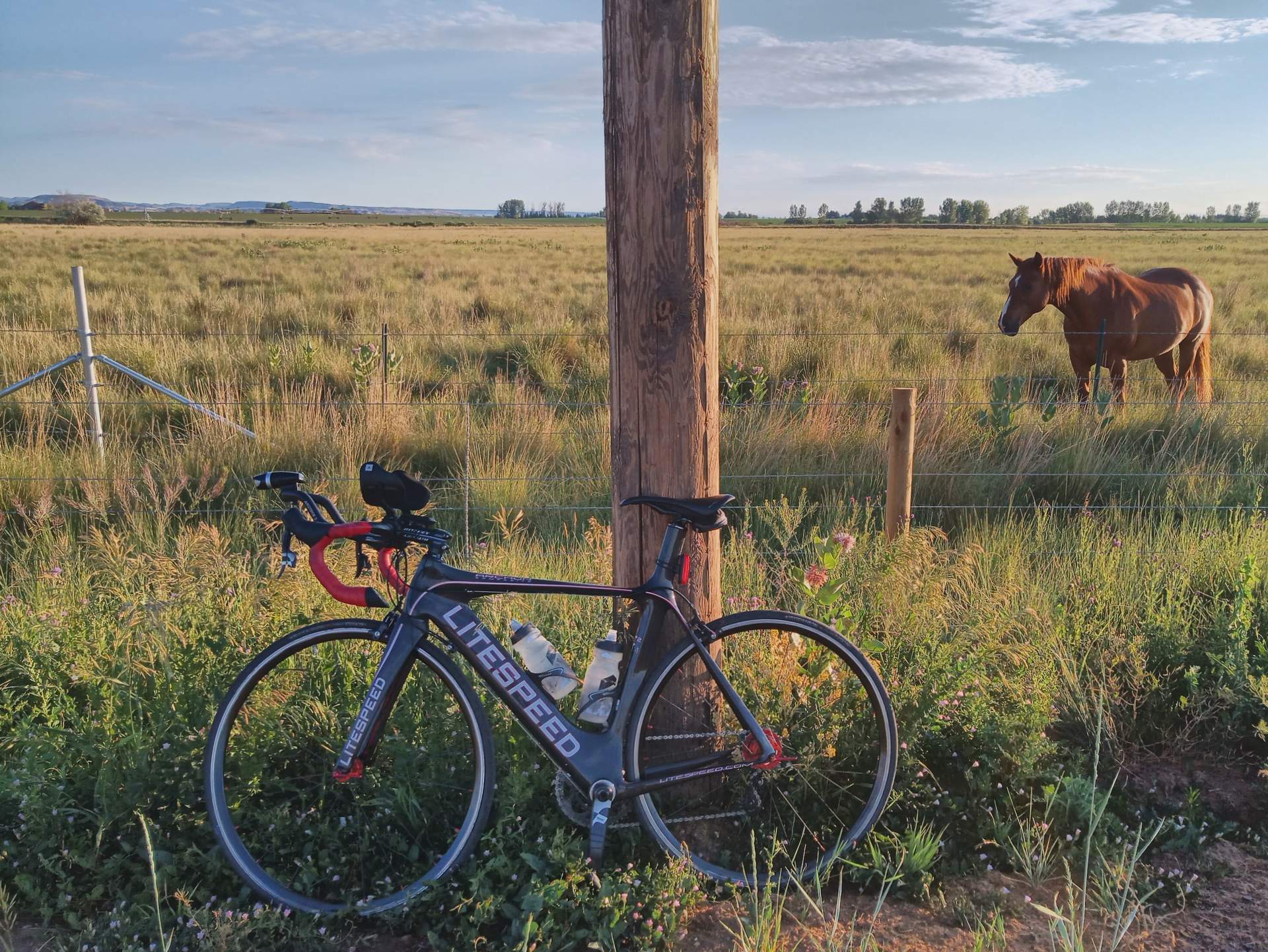 My black 2010 Litespeed Archon C2 with a horse in Wellington.