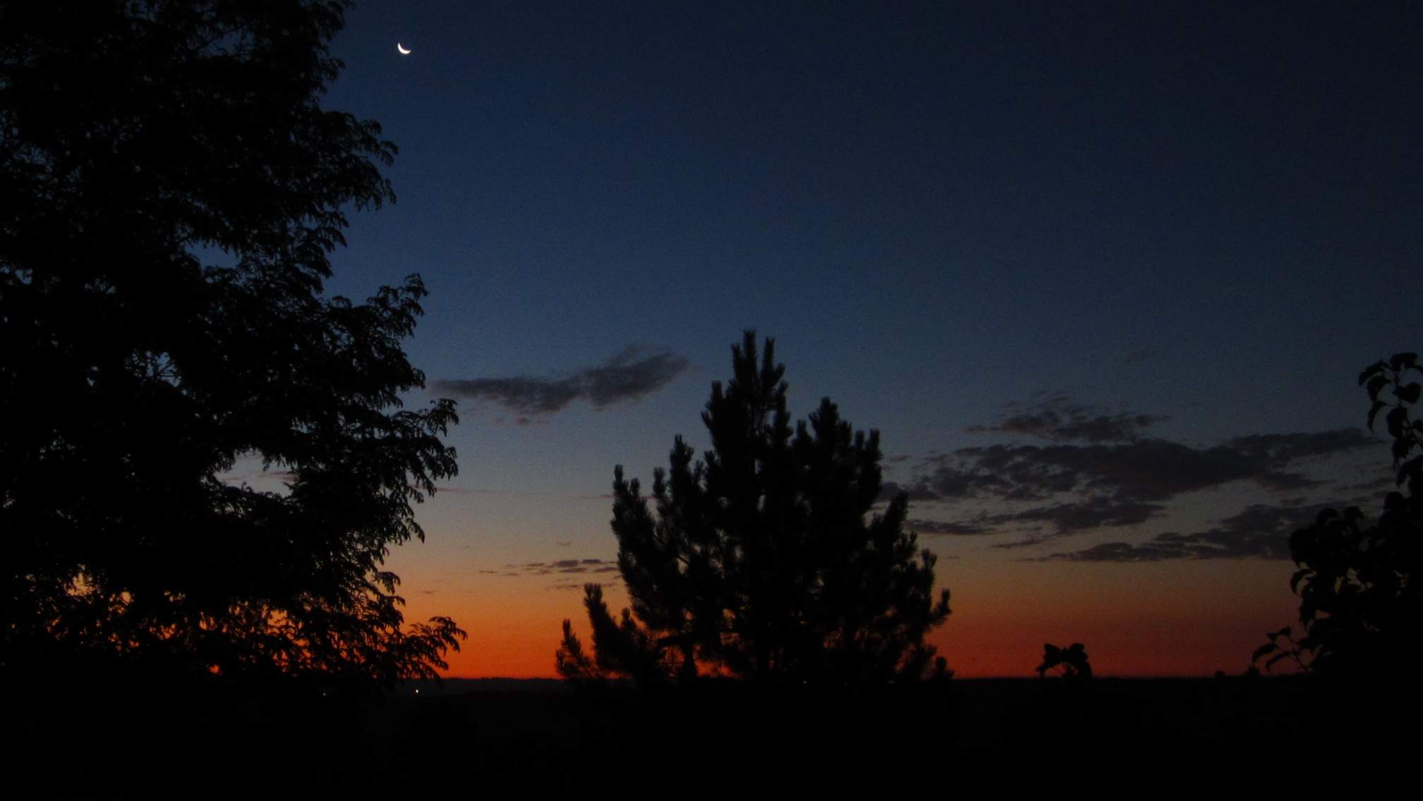 sunrise, trees, oil rig, north Fort Collins