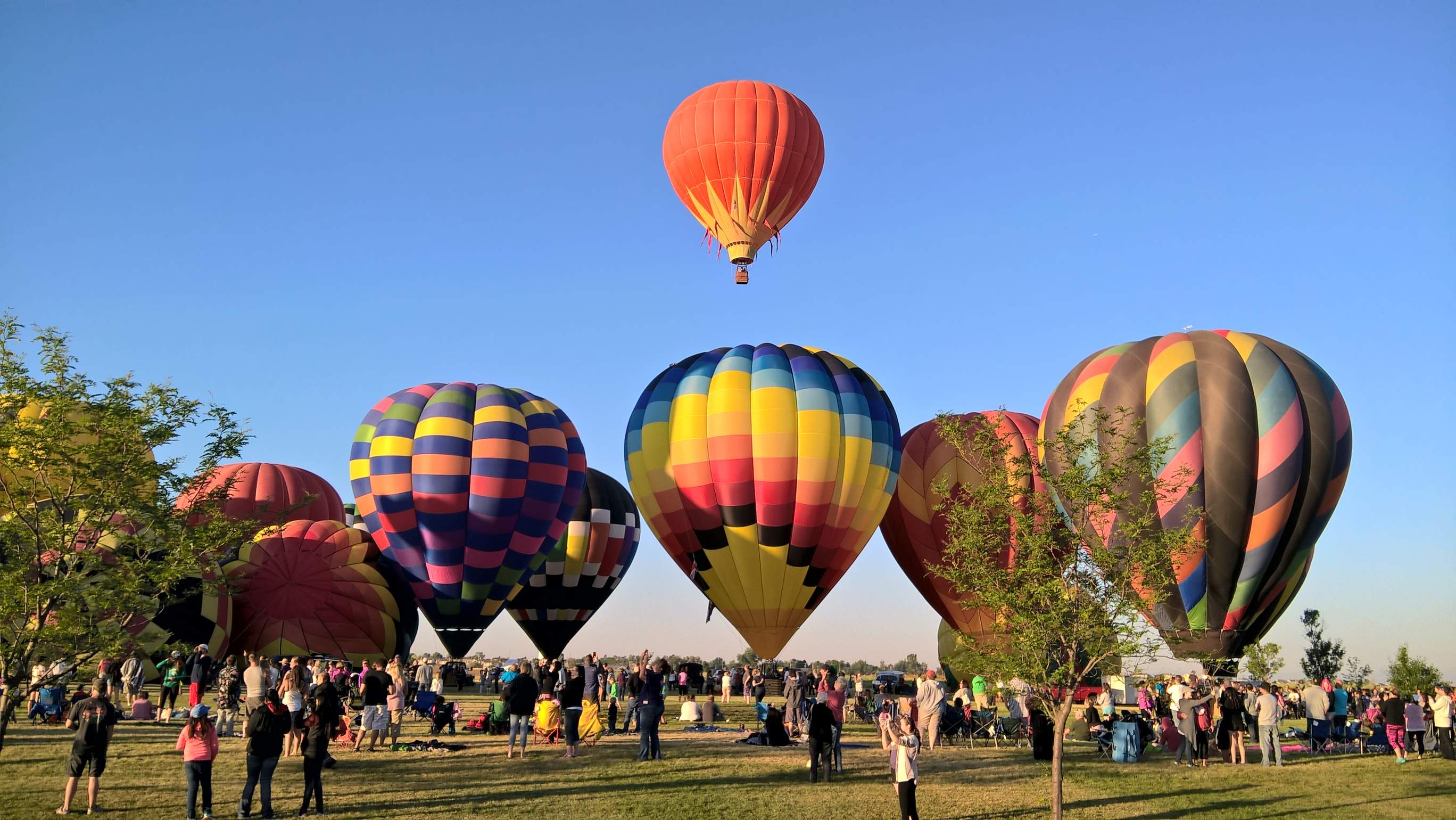 Hot air balloons taking off at 2016 Frederick in Flight.