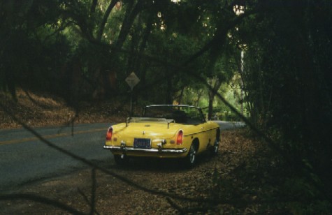 rear view of 1969 MGB roadster as seen through tree branches