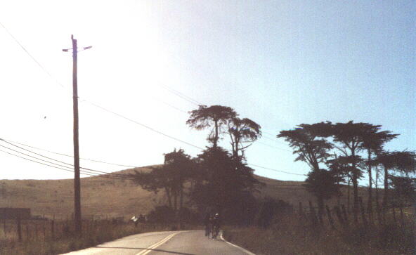 winding roads in the North Bay, 2001 Holstein Hundred
