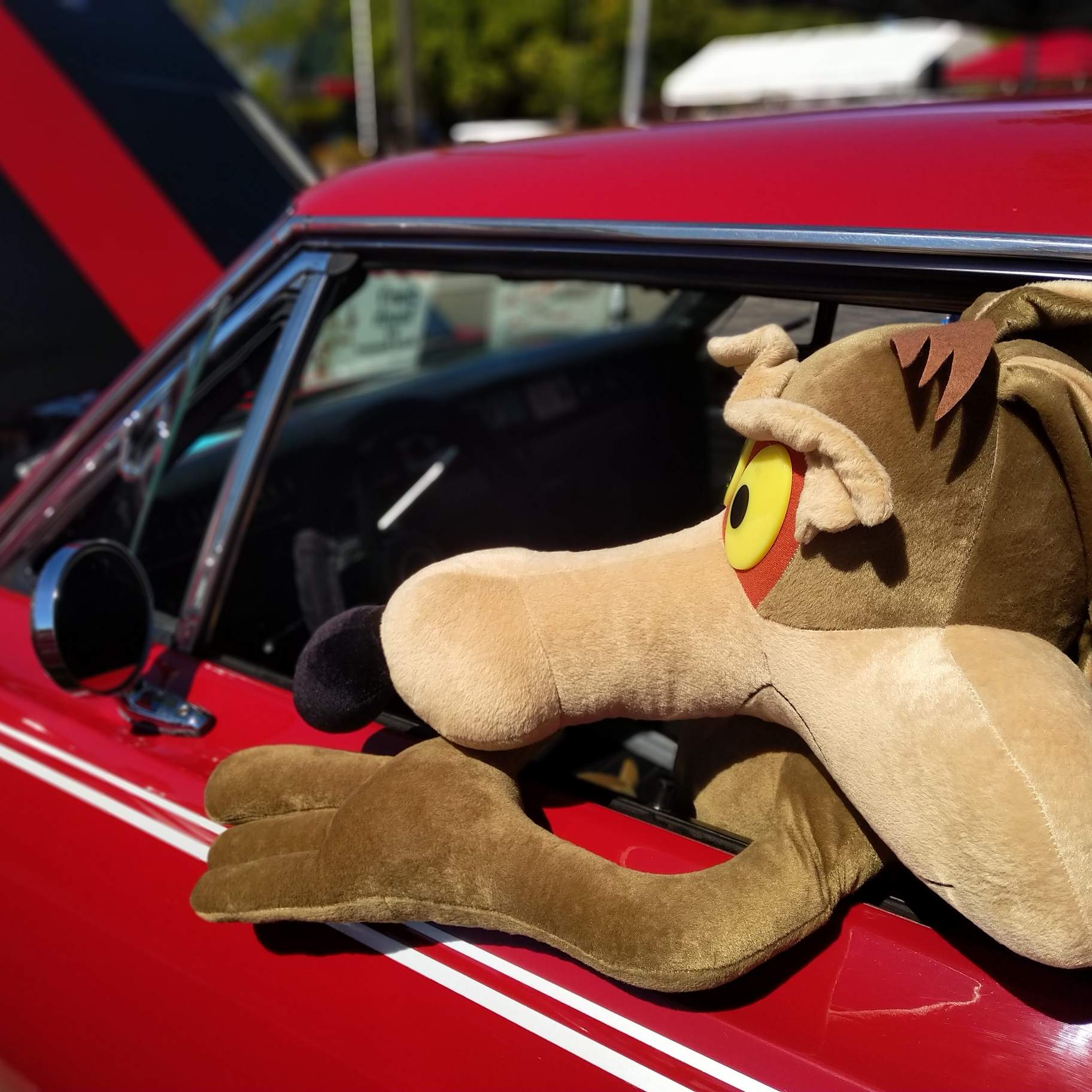 Wile E. Coyote looking into the left side mirror of a red Plymouth Road Runner.