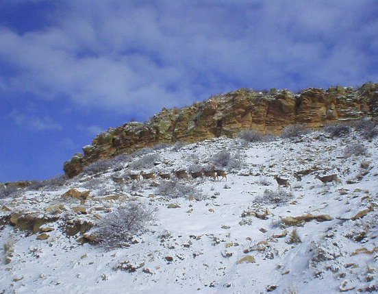 Row of rocky cliffs on top of snow-covered hillside.