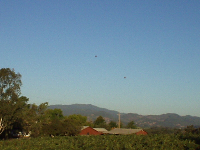 Mile 27, 7:42 a.m.: A wonderful sight: balloons over Napa Valley.