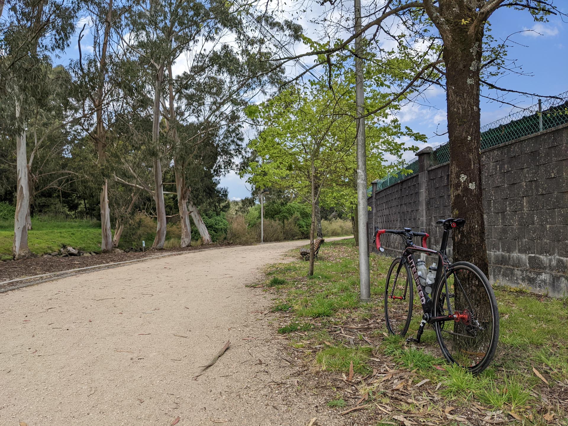 The Super Bike against a tree on a gravel recreation trail in Pontevedra, Spain.