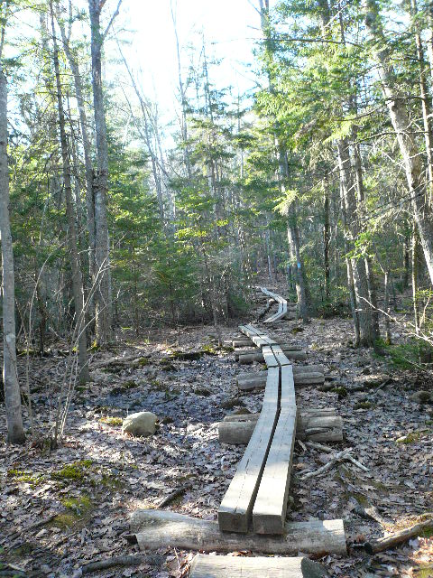 Wood path.