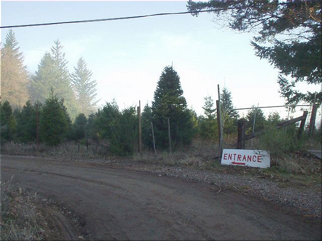 The entrance of the Christmas tree farm.  When I explained to the tree seller that, no, I was not here to buy a tree but was a CA County Summit seeker, he joked, "We are a TREE farm, not a tourist company!"