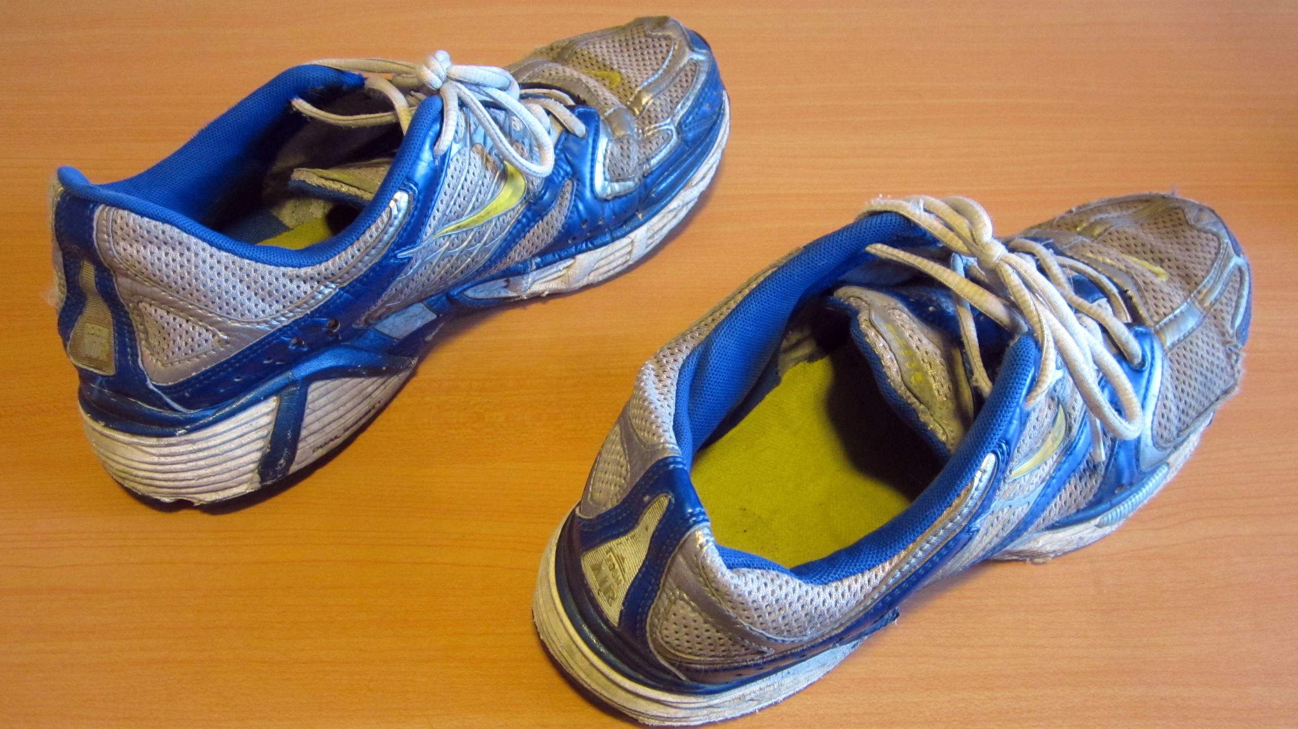 Nike Air Zoom Elite running shoes (2005)