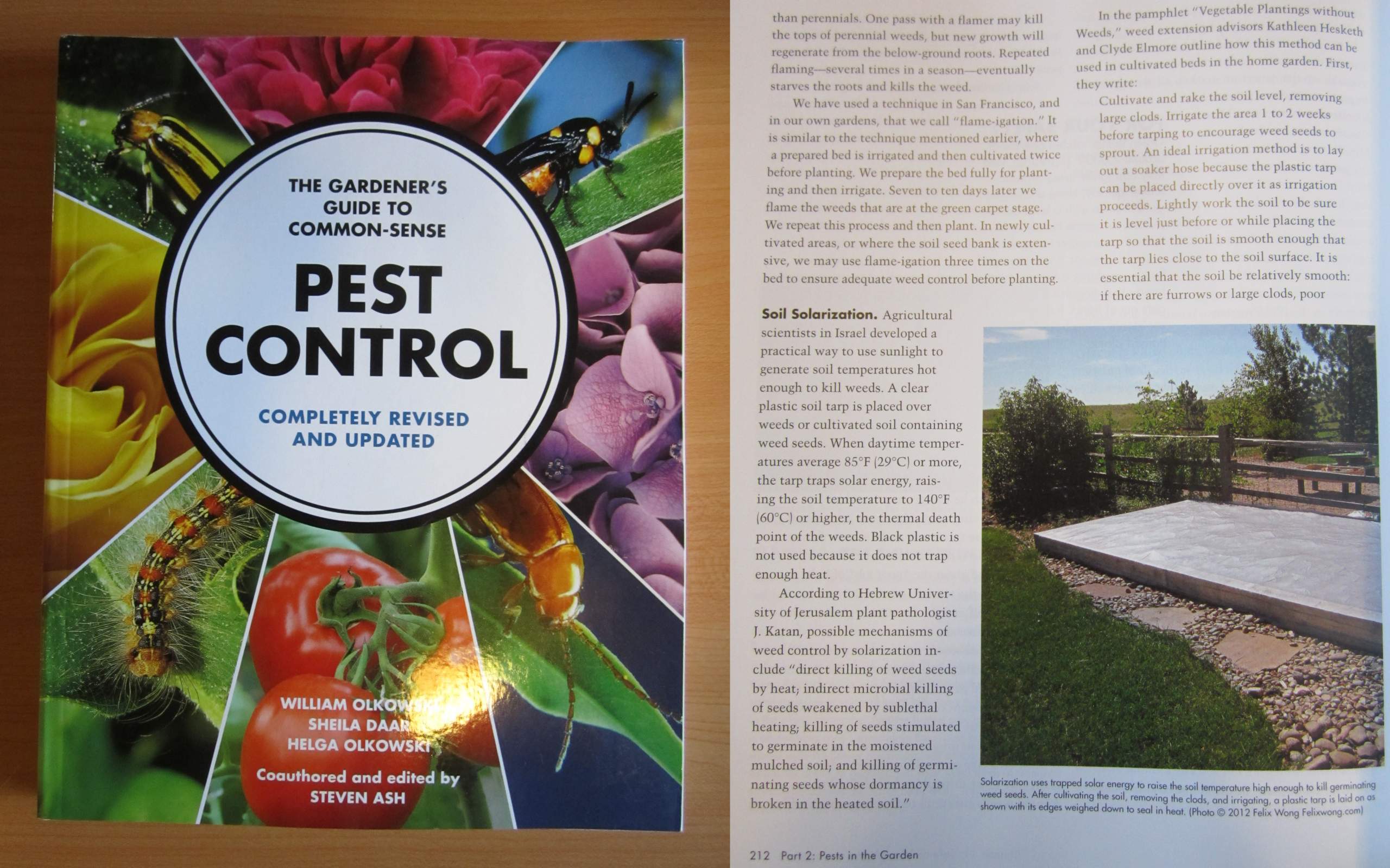 My garden as seen in a chapter about soil solarization in The Common Sense Guide to Pest Control.