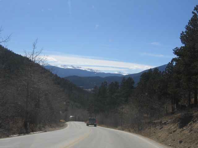 Descending down from the top of Rist Canyon, one is greeted by great views of the Rockies in the background of the trees.