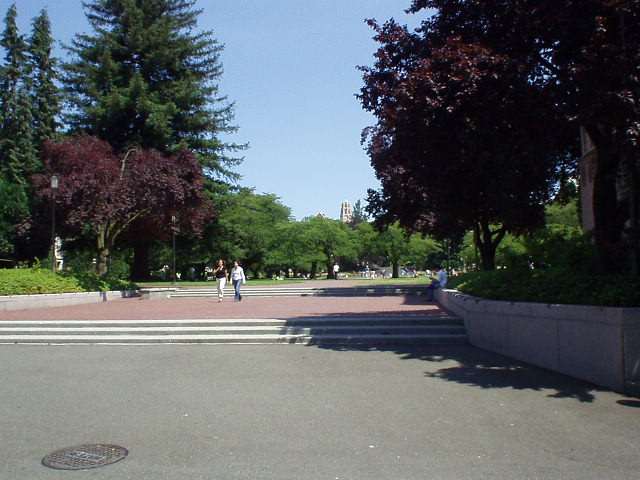 The University of Washington campus was a gorgeous campus, kind of like a small town in itself.  Unfortunately this is the only pic I have of it, of an area near the Quad.