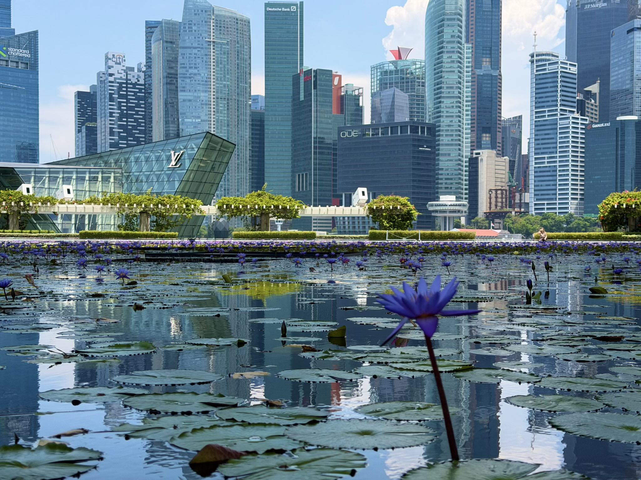 The Lily Pond at Marina Bay Sands.