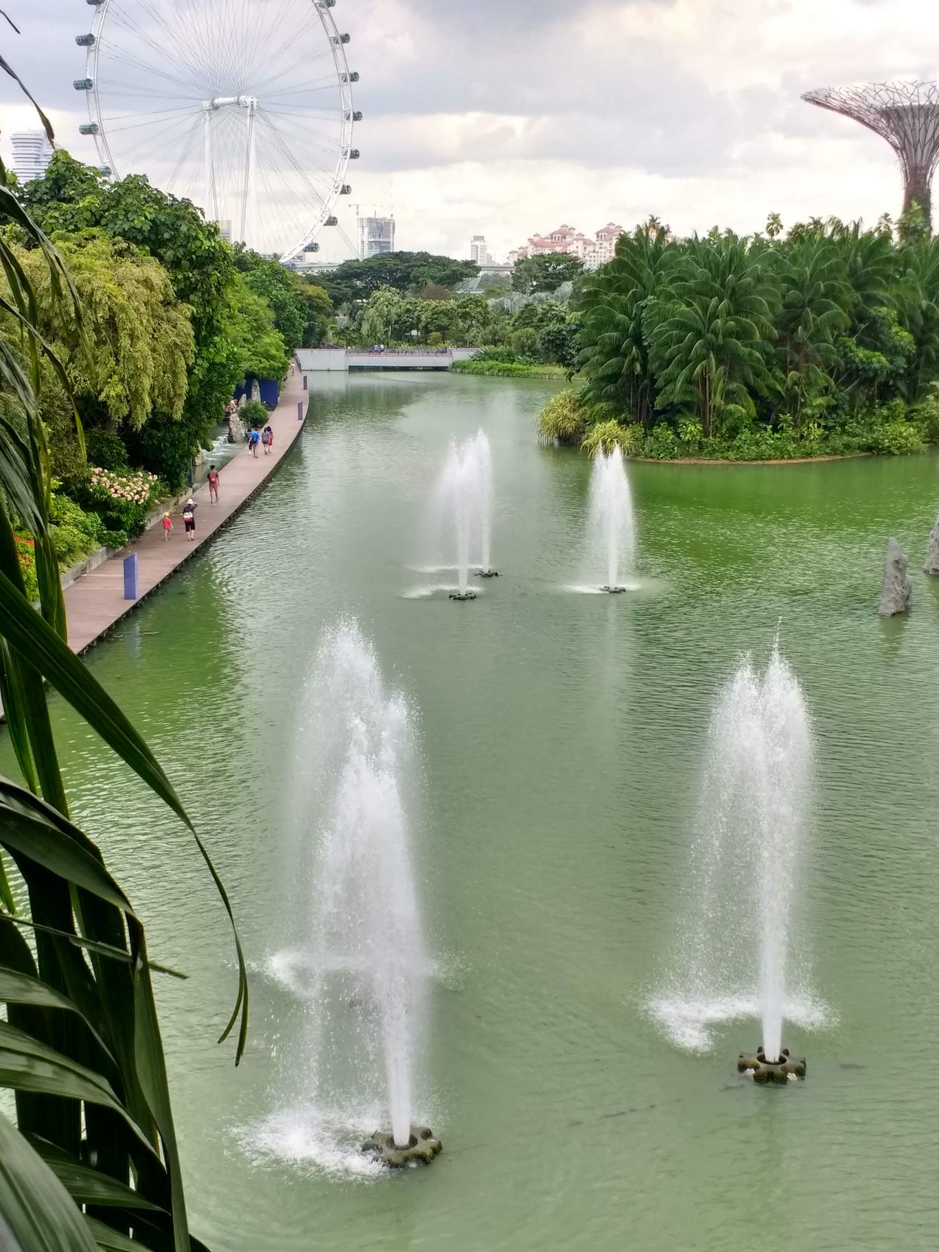 View of fountains at Gardens by the Bay.