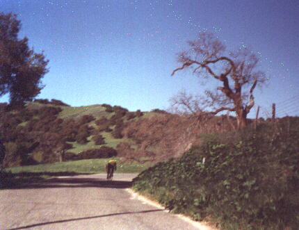 bicyclist, green hillsides, Morro Bay, 1999 Solvang Double Century
