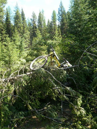 [Day 5] Some of the downed tree piles were ridiculous. I had to throw my bike over this one, and then climb over it like it was a rock climbing wall.