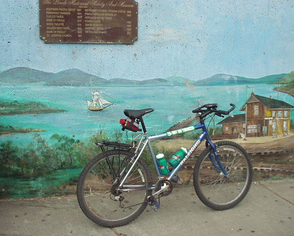 blue Raleigh M500 mountain bike covered with two bumper stickers, carrying two green Gatorade bottles, in front of a green mural of the sea with a sailboat on it