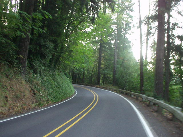 [Mile 4, 7:05 a.m.] Climbing began early in through verdant forests.  This was a warmup for Larch Mountain Rd., which a 14-mile climb rising 3000 feet.
