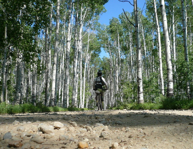 Day 15: This is more like it.  Aspen Alley, WY, less than 20 miles north of Colorado.