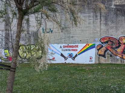 A mural on a wall near the Santa Cristina beach that says "A diversidade é a nosa forza" (diversity is our strength).