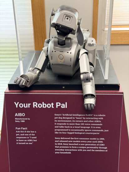 Sony's AIBO robot pal was introduced in 1999.