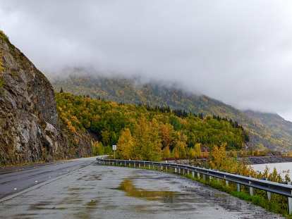 It was raining when we drove down to Kenai, but the fall colors made it one of the most beautiful drives I've ever done.