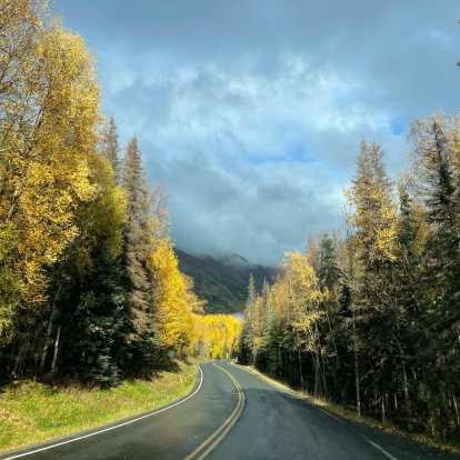 Resplendent fall colors in Cooper Landing, Alaska.