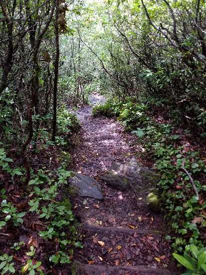 The Albert Mountain trail featured steep inclines.