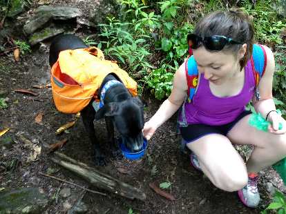 Maureen giving water to this dog we encountered named Teddy. Teddy and his mother were section-hiking the Appalachian Trail. Maureen giving water to this dog we encountered named Teddy. Teddy and his mother were section-hiking the Appalachian Trail.