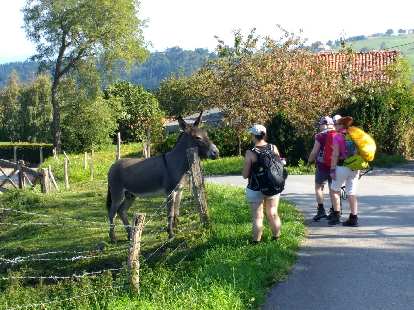 Peregrinos visiting with a donkey along the Camino del Norte near Itxaspe, Spain. (04 Sep 2017) Peregrinos visiting with a donkey along the Camino del Norte near Itxaspe, Spain.
