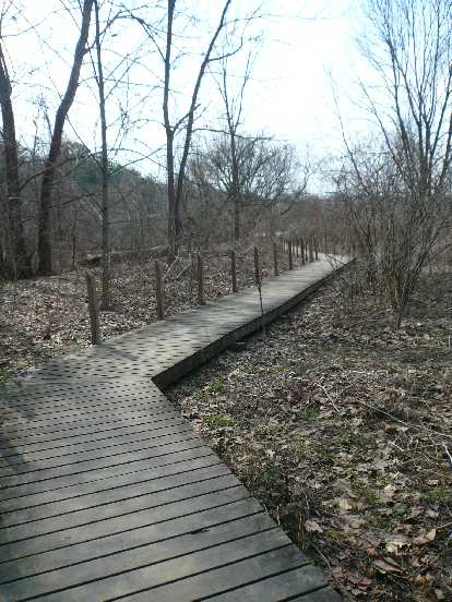 Boardwalk at the Beaver Lake Bird Sanctuary. Boardwalk at the Beaver Lake Bird Sanctuary.