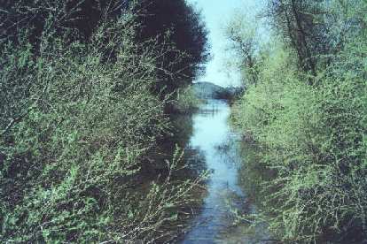 A river leading to the reservoir.