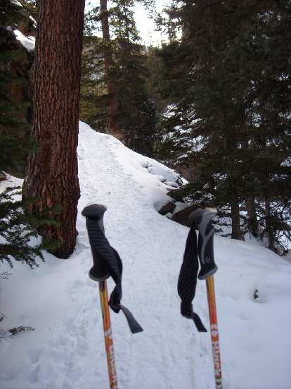 My ski poles in the snow.