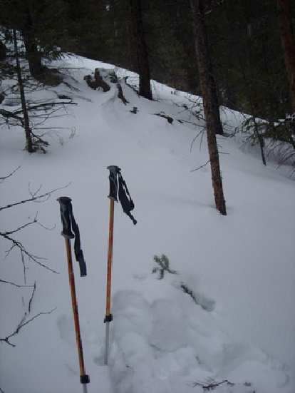 Ski poles in the snow. Ski poles in the snow.