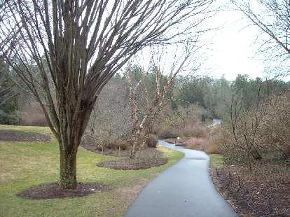 Walking trail outside the Bilmore House. Walking trail outside the Bilmore House.