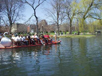 In the Public Gardens, swanboat rides were given for the first time this year...